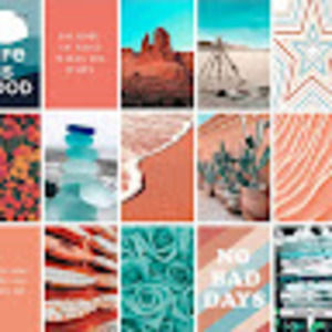 Meet your Posher, Avonley